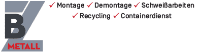 logoBZ 2015